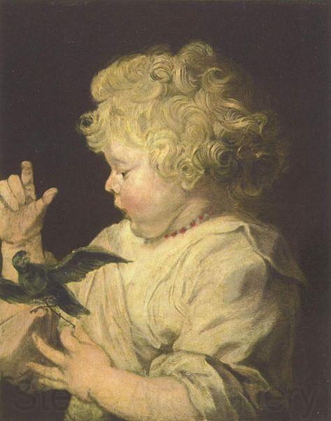 Anthony Van Dyck Portrat eines Kindes mit Vogel Spain oil painting art